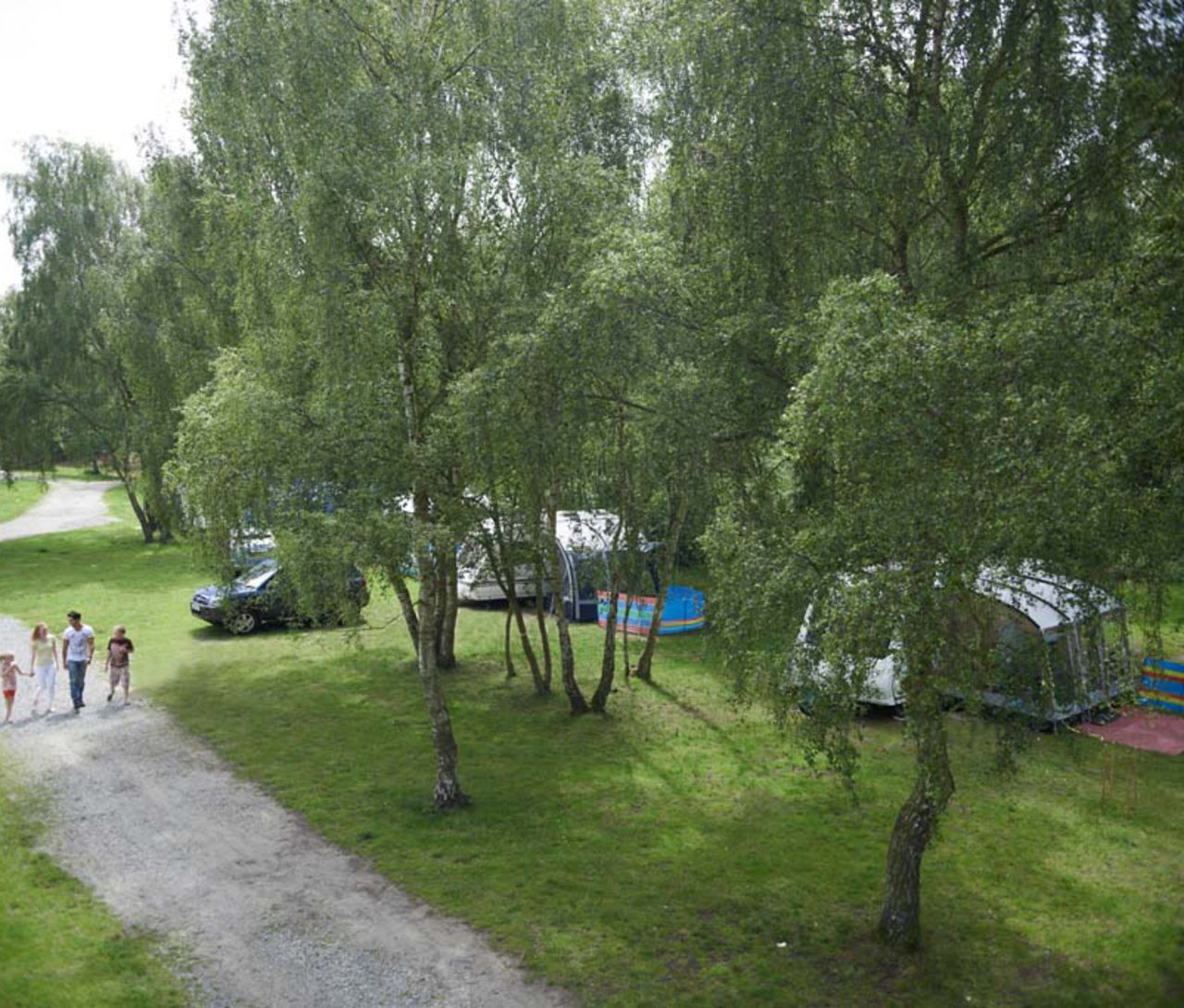 Wild Duck Holiday Park Resorts Camp Sites Norfolk Broads