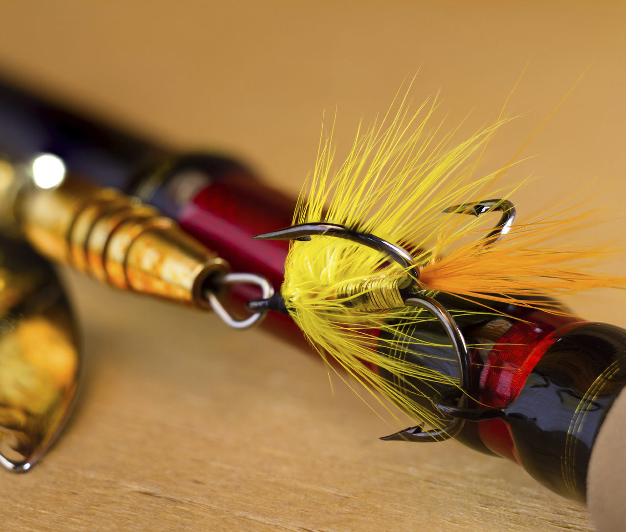 Fishing Tackle Shops, Explore