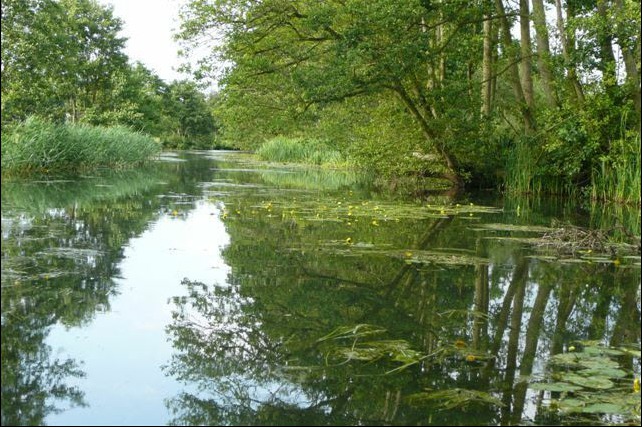 Day Boat Hire | Day Boats on the Norfolk Broads