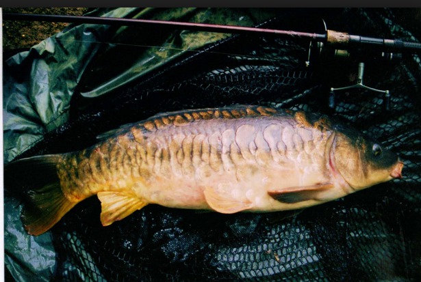 Church Farm Fishery