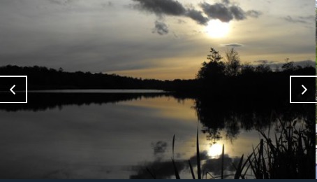 Evening over Cockshoot Broad