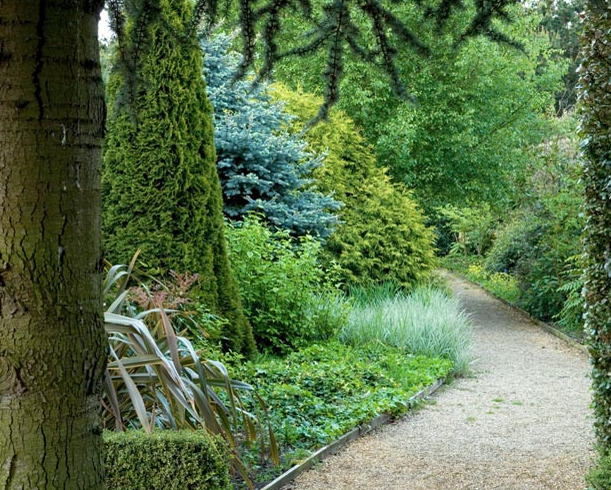 Woodland Path at East Ruston Gardens