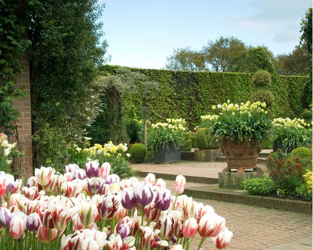 Tulip display at East Ruston Garden
