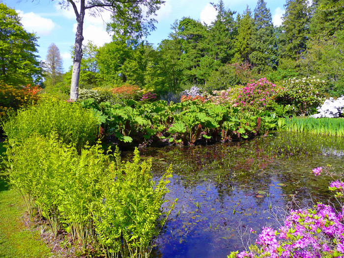 Water Garden