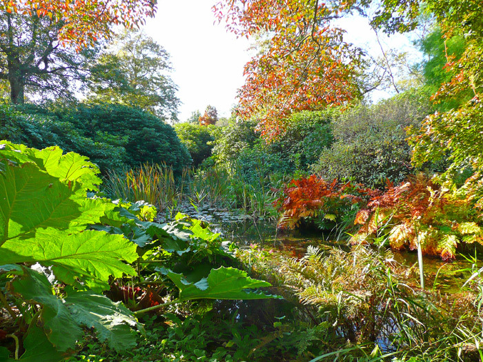 How Hill Water Garden