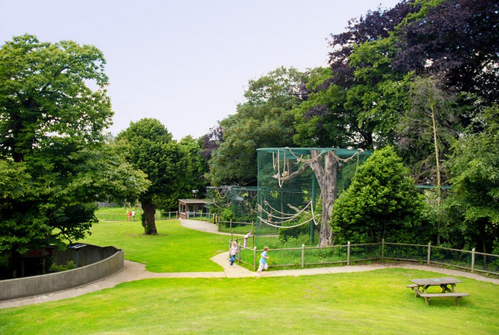 Enclosures at Thrigby Hall Wildlife Gardens