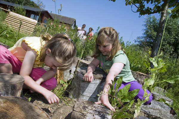 Bug hunting at Waveney River Centre