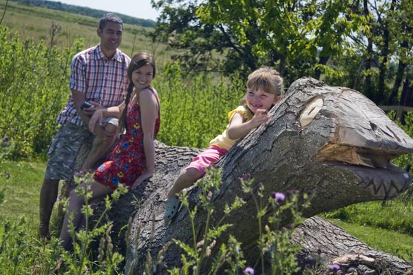 Wildlife garden at Waveney River Centre