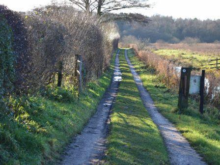 Track To Marsh Cottage