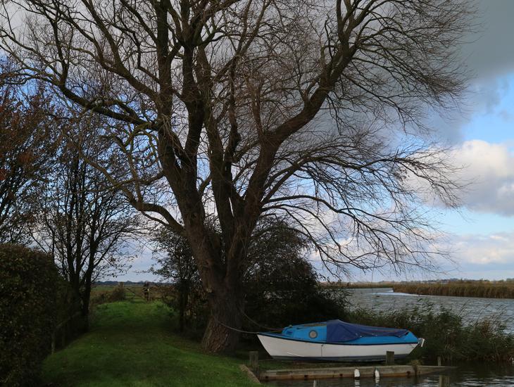 Autumnal Day At Upton