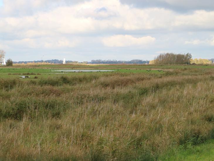 River Bure And Marshes