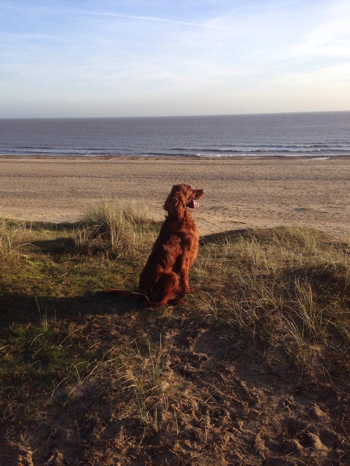 Flynn On Beach