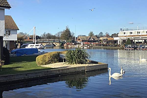 Gardens at Bure Cottage Wroxham