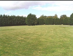 Extensive pitch area at Broad Farm Holiday park