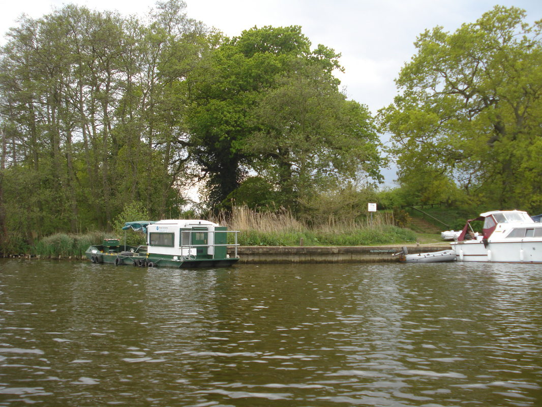 Boats moored at Salhouse Broad