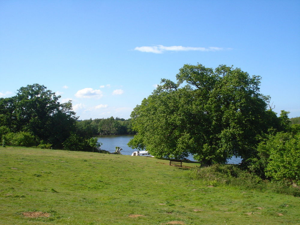 View of Salhouse Broad