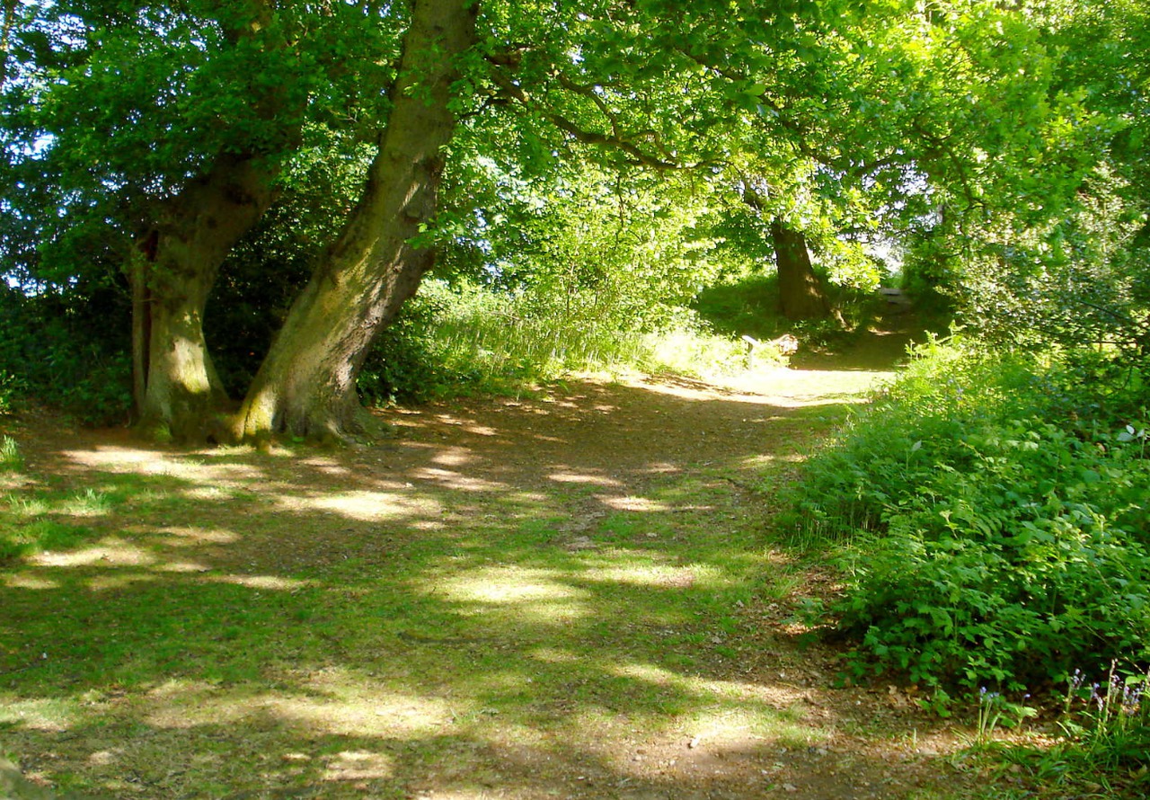 Camping on Salhouse Broad