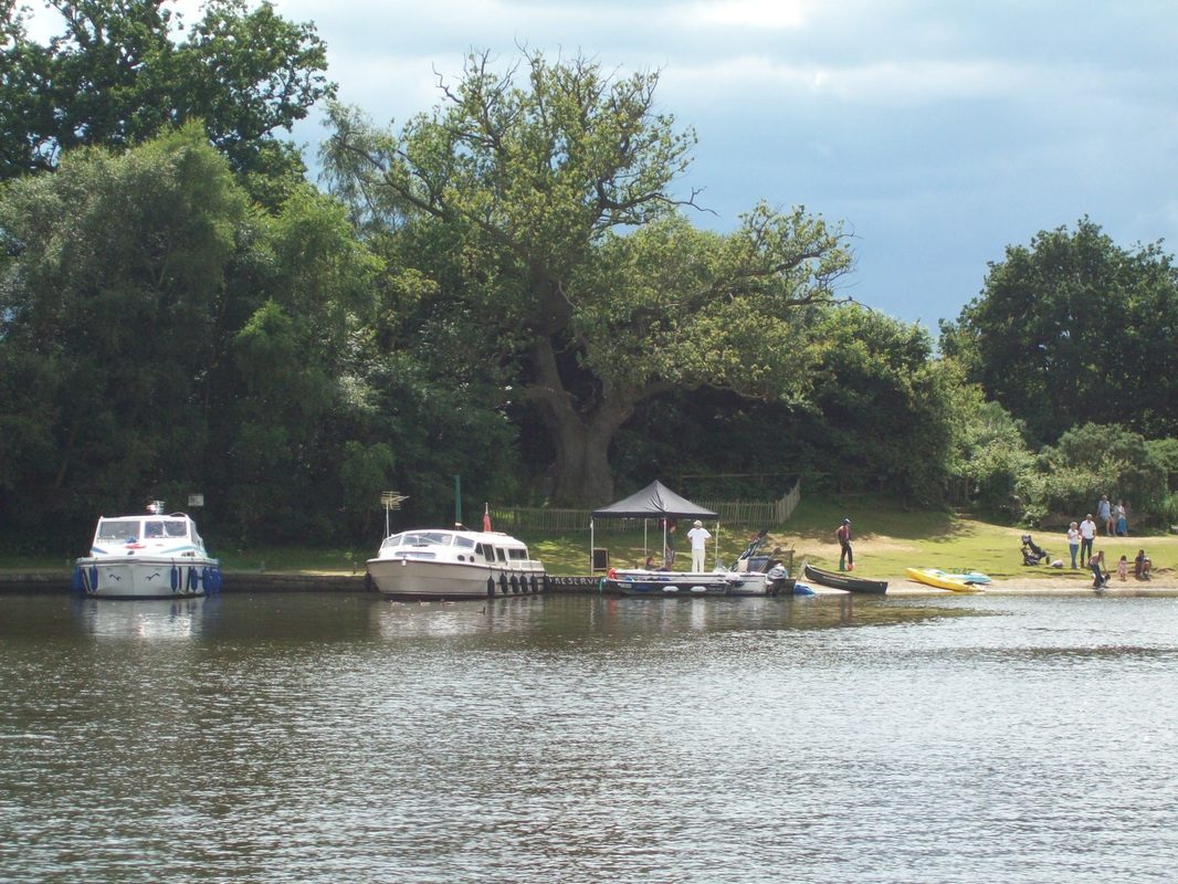 Boats moored at Salhouse Broad