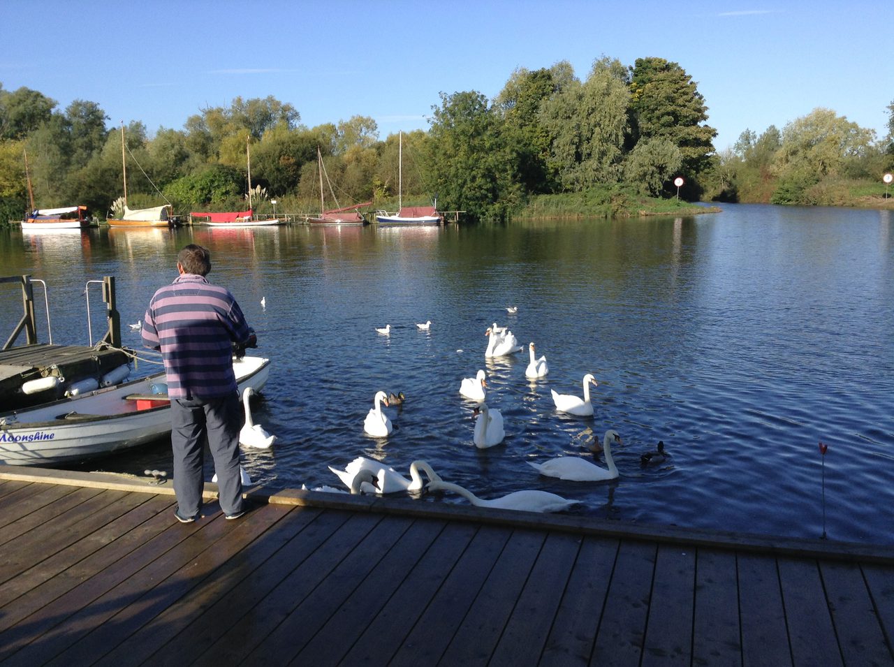 Feeding the feathered river users