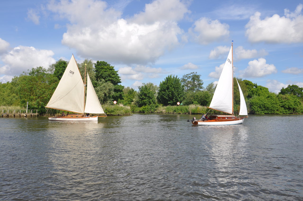 Broads sailing cruisers on the river at Brundall