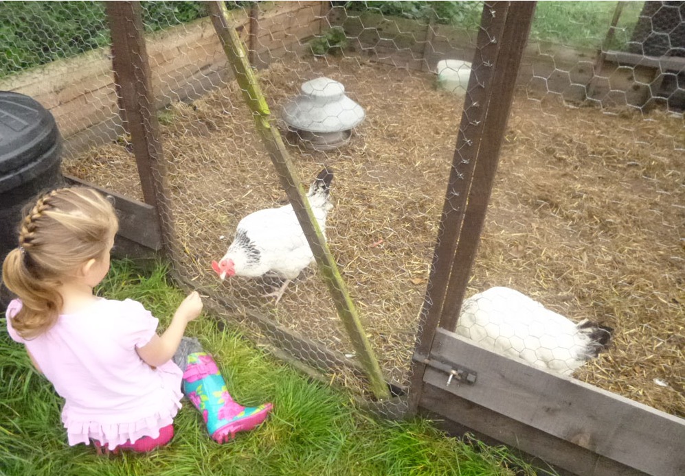 Fresh eggs for Breakfast at Hidden Meadows