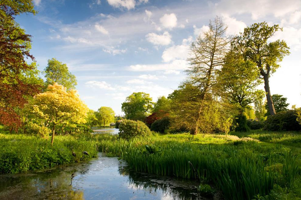 View of the Norfolk Broads