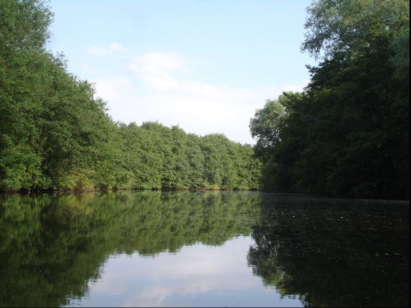 Tranquil river scene just upstream of Wroxham Bridge.