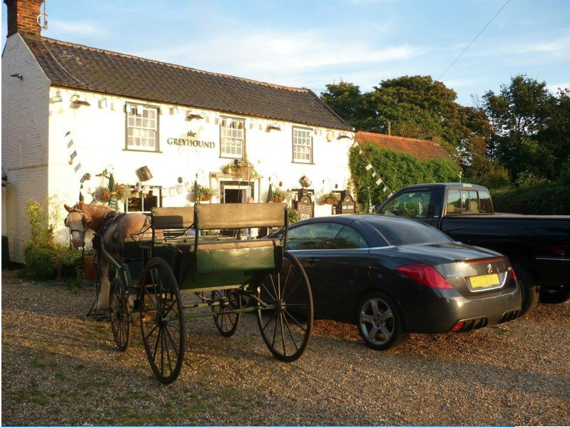 Pony and Traps welcome at The Greyhound Inn