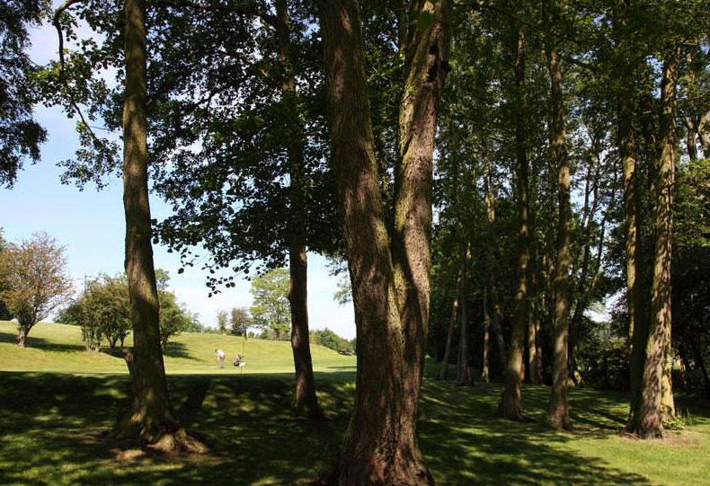 VIew into the 1st Fairway at Barnham Broom