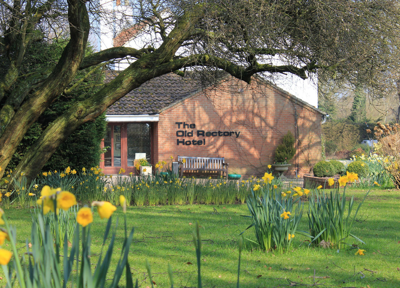 Reception - From Old Rectory gardens