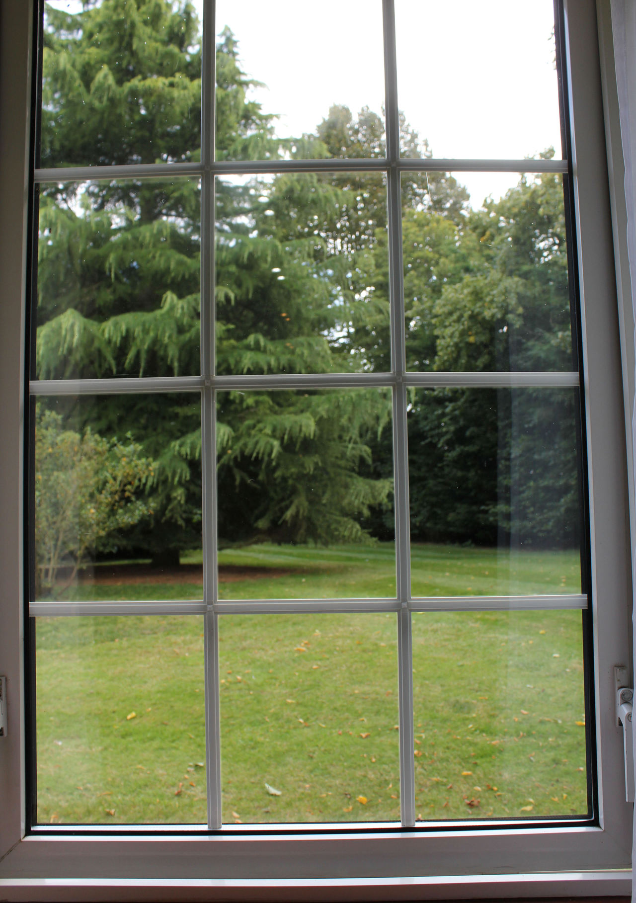 View from one of the windows at The Old Rectory Hotel Crostwick