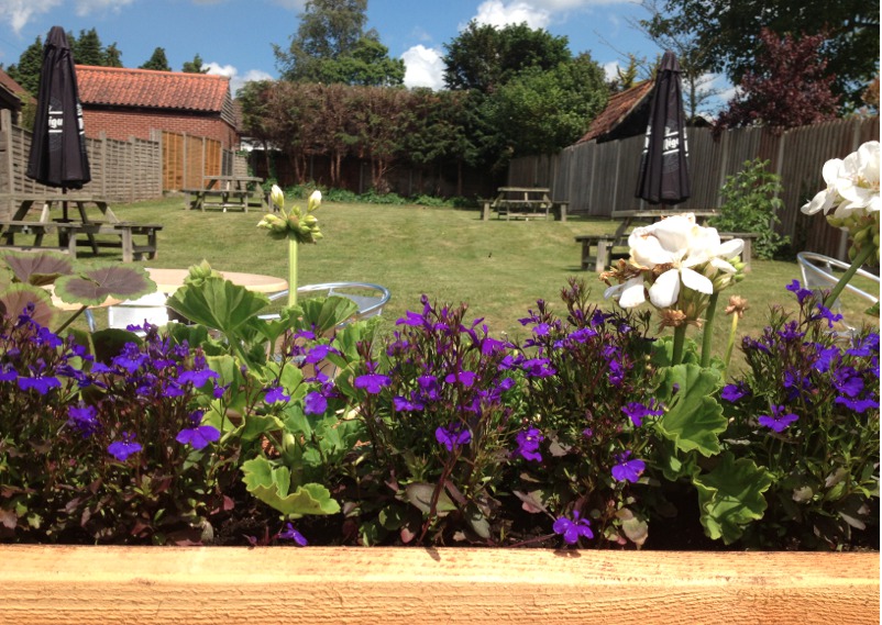 Back garden and beer garden at the Red Lion in Coltishall