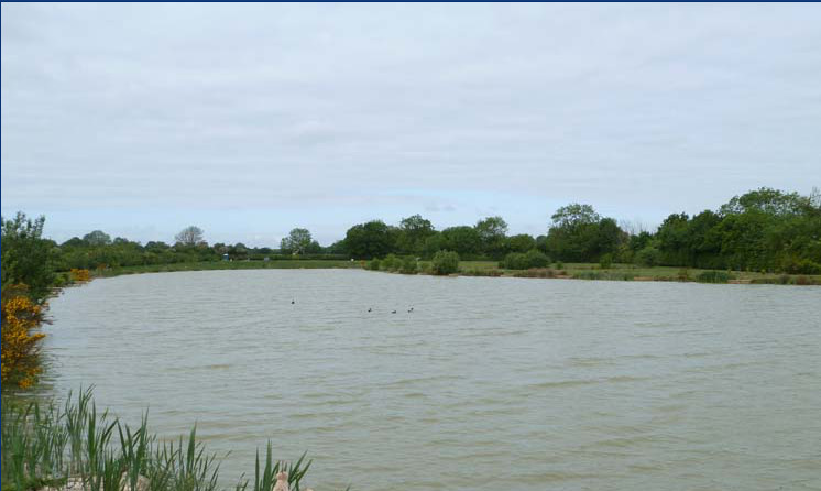 Topcroft fishing lakes near bungay on the norfolk broads