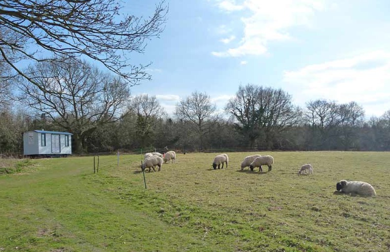 Beautiful fields and landscapes at Top Farm