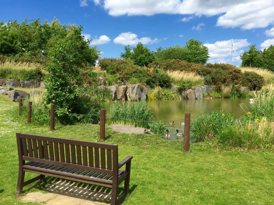 Pond at Waters Retreat Caravans in Hopton