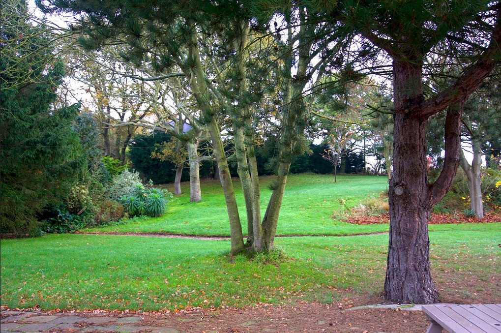 Rear Garden of Wayford Bridge Inn