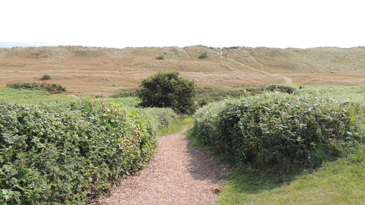 Path to the Valley