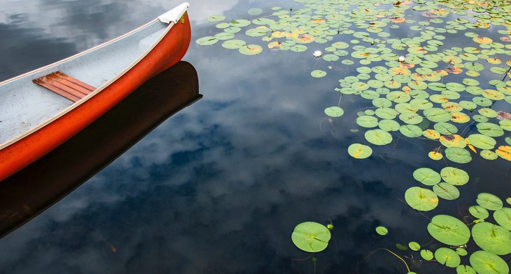 Canoe and Lillies