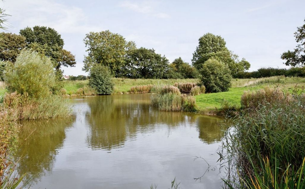 Fishing Lake at Grove Farm Barns Catfield