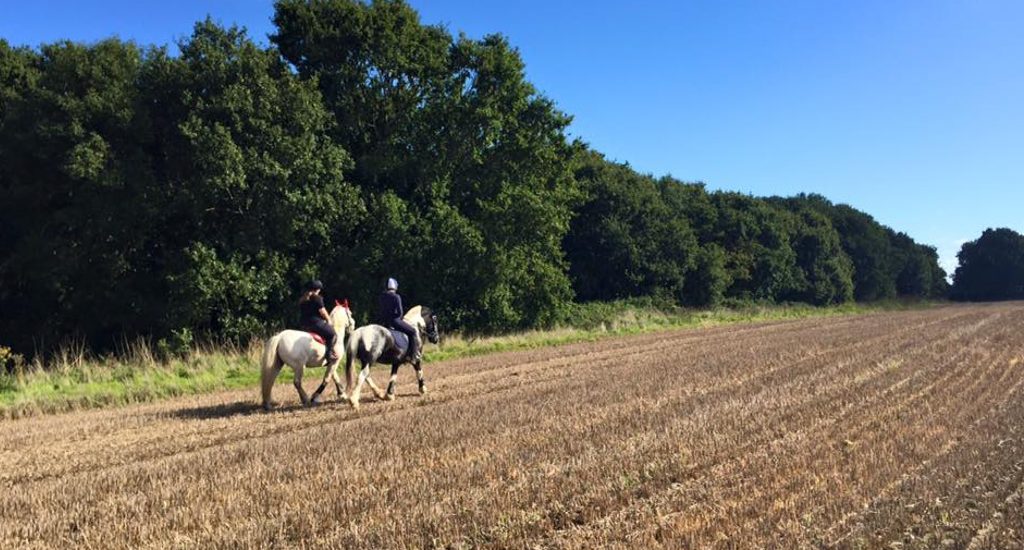 Horse Riding Near Brambells