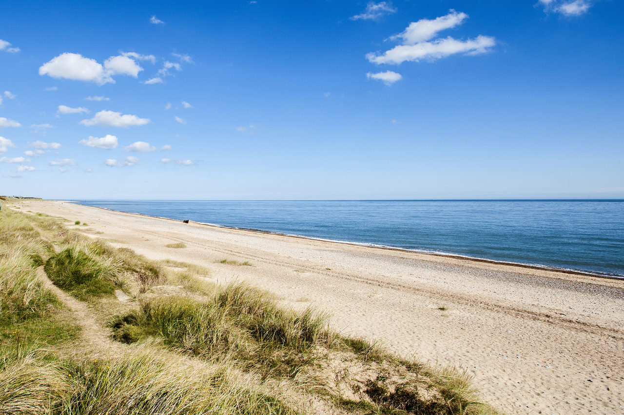 Beach Looking North