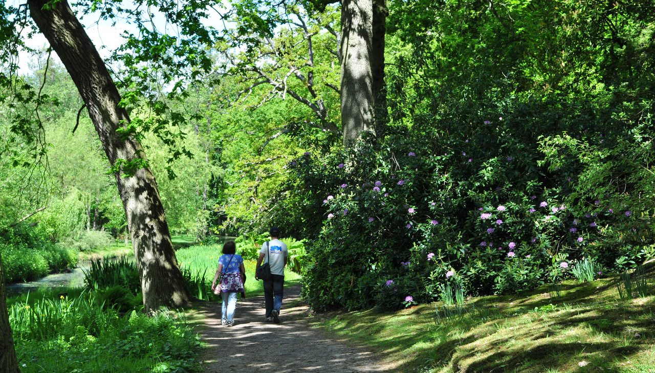 Fairhaven Woodland And Water Garden Footpath 2