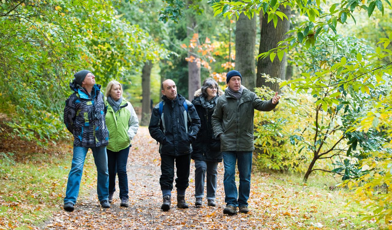 Fairhaven Garden Ian Guest Autumn Walk