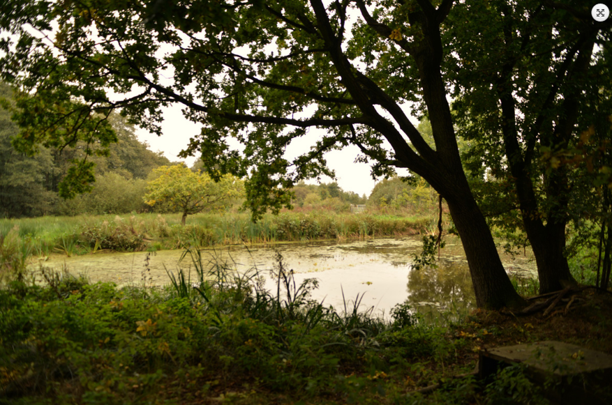 Fishing Lake