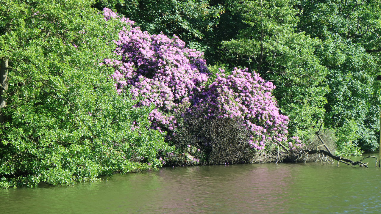 Colours Of Salhouse Broad