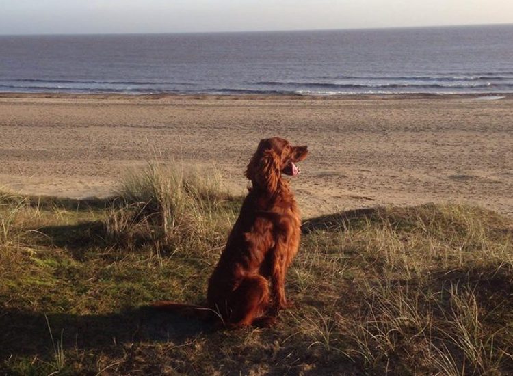 Winterton Beach