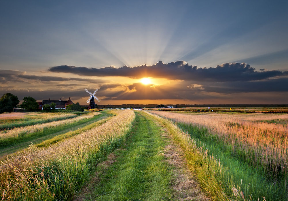 Norofl Broads Countryside 1