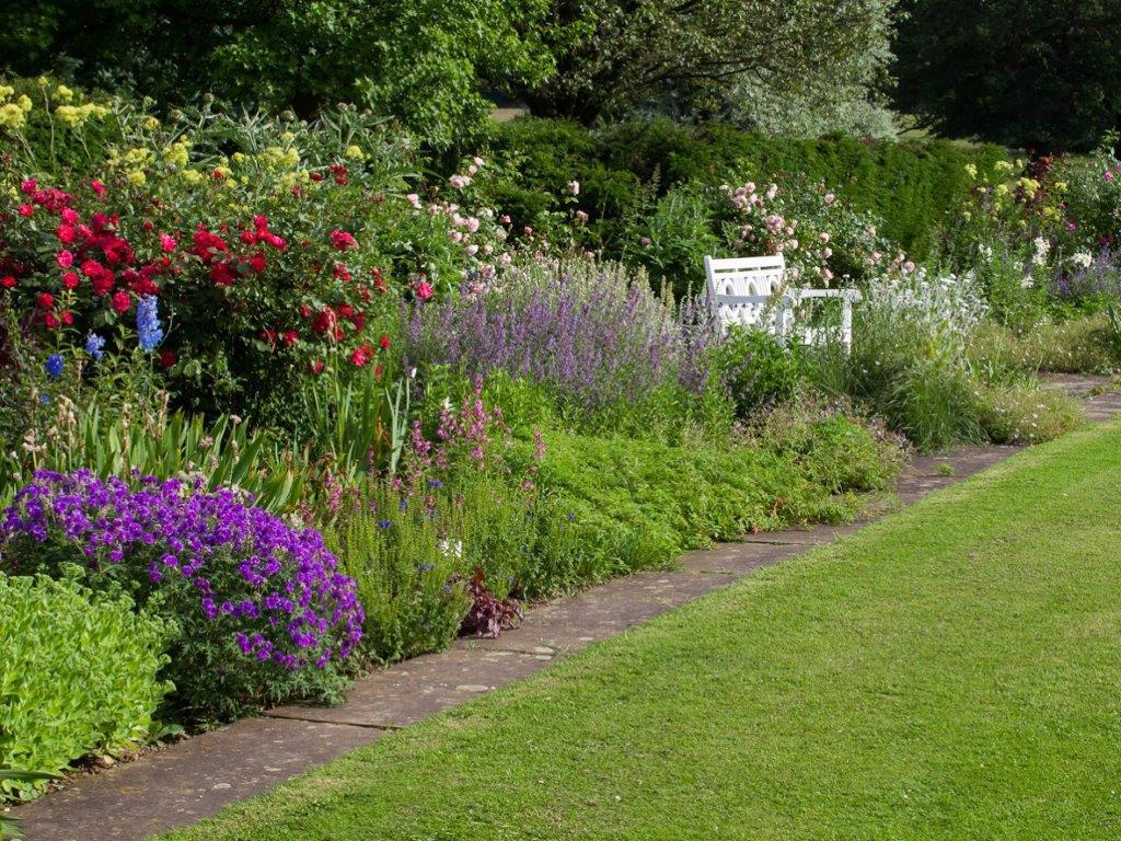 Bench In Border