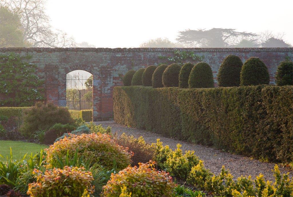 Hedge Border To Gate