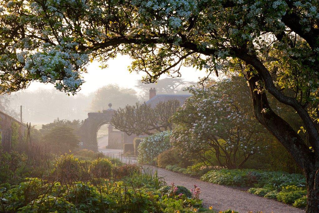 Misty Morning